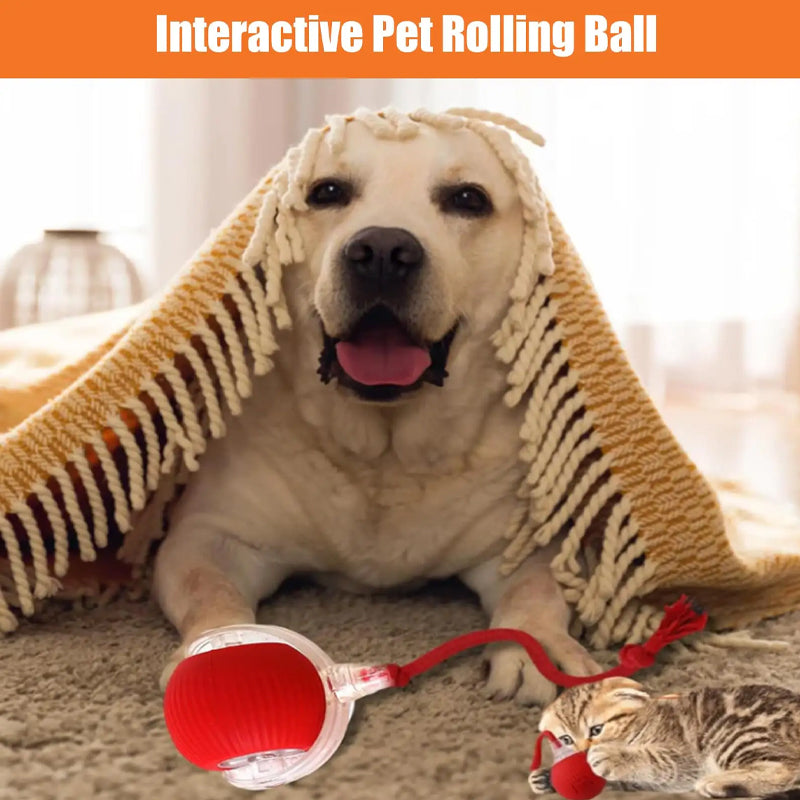 Smart Interactive Cat Ball